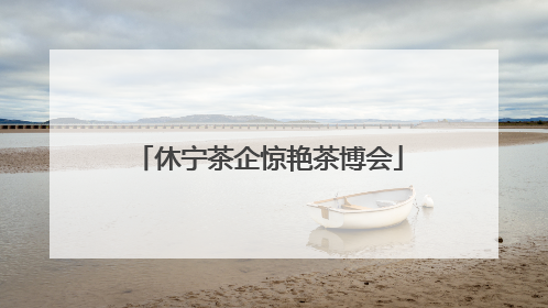 休宁茶企惊艳茶博会