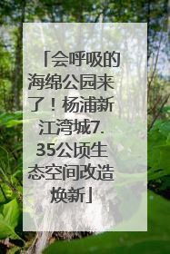 会呼吸的海绵公园来了！杨浦新江湾城7.35公顷生态空间改造焕新