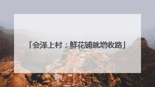 会泽上村：鲜花铺就增收路