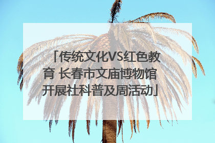 传统文化VS红色教育 长春市文庙博物馆开展社科普及周活动