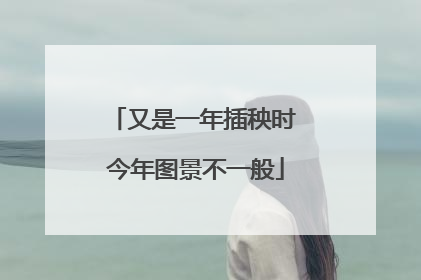 又是一年插秧时 今年图景不一般