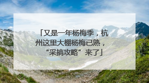 又是一年杨梅季，杭州这里大棚杨梅已熟，“采摘攻略”来了