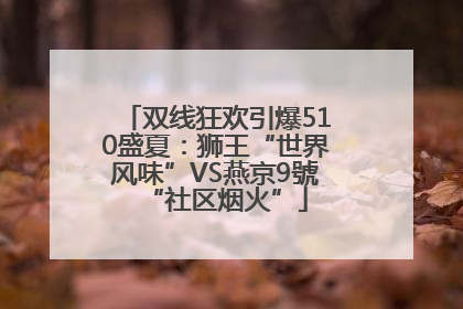 双线狂欢引爆510盛夏：狮王“世界风味”VS燕京9號“社区烟火”