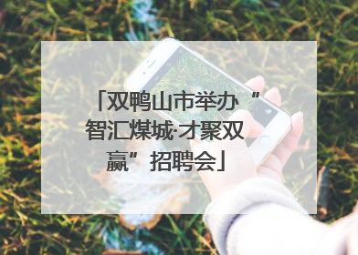 双鸭山市举办“智汇煤城·才聚双赢”招聘会