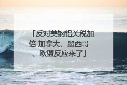 反对美钢铝关税加倍 加拿大、墨西哥、欧盟反应来了
