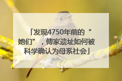 发现4750年前的“她们”，傅家遗址如何被科学确认为母系社会