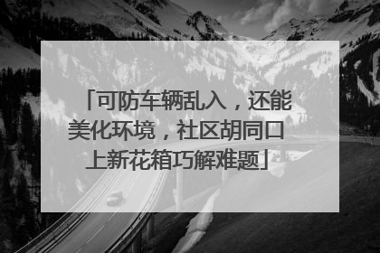 可防车辆乱入，还能美化环境，社区胡同口上新花箱巧解难题