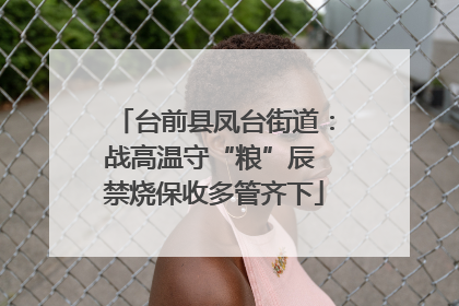 台前县凤台街道：战高温守“粮”辰 禁烧保收多管齐下