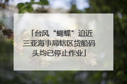 台风“蝴蝶”迫近 三亚海事局辖区货船码头均已停止作业