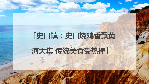 史口镇：史口烧鸡香飘黄河大集 传统美食受热捧