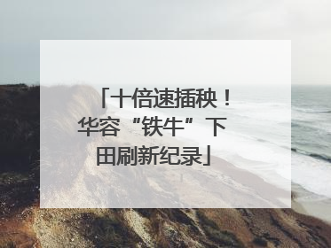 十倍速插秧！华容“铁牛”下田刷新纪录