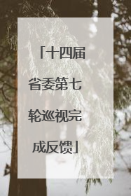 十四届省委第七轮巡视完成反馈