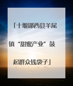 十堰郧西县羊尾镇“甜蜜产业”鼓起群众钱袋子