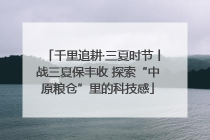 千里追耕·三夏时节丨战三夏保丰收 探索“中原粮仓”里的科技感