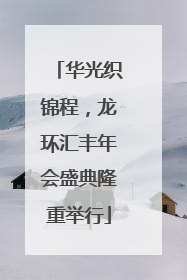 华光织锦程，龙环汇丰年会盛典隆重举行