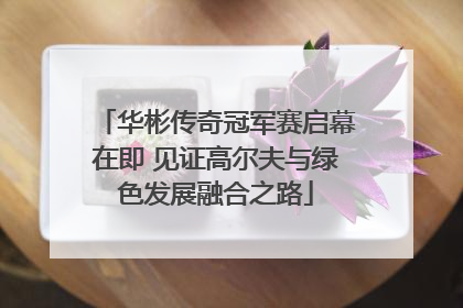 华彬传奇冠军赛启幕在即 见证高尔夫与绿色发展融合之路