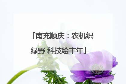 南充顺庆：农机织绿野 科技绘丰年