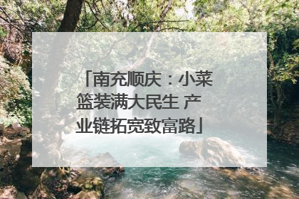 南充顺庆：小菜篮装满大民生 产业链拓宽致富路