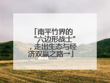 南平竹界的 “六边形战士”，走出生态与经济双赢之路→