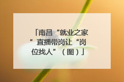 南昌“就业之家”直播带岗让“岗位找人”（图）