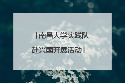 南昌大学实践队赴兴国开展活动