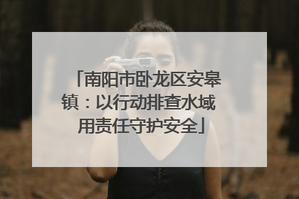 南阳市卧龙区安皋镇：以行动排查水域 用责任守护安全
