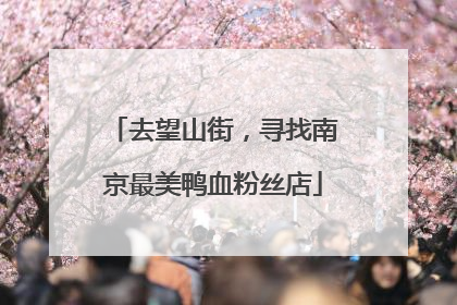去望山街，寻找南京最美鸭血粉丝店