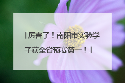 厉害了！南阳市实验学子获全省预赛第一！