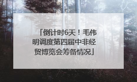 倒计时6天！毛伟明调度第四届中非经贸博览会筹备情况