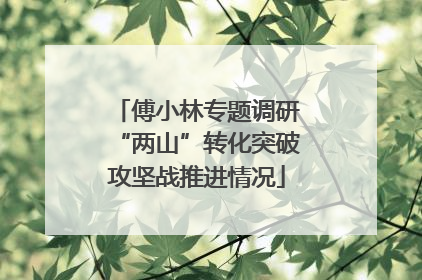 傅小林专题调研“两山”转化突破攻坚战推进情况