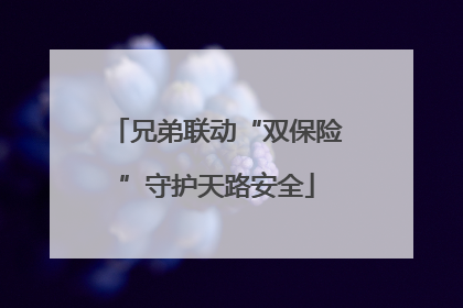 兄弟联动“双保险”守护天路安全