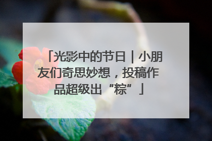 光影中的节日｜小朋友们奇思妙想，投稿作品超级出“粽”