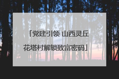 党建引领 山西灵丘花塔村解锁致富密码