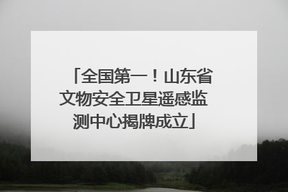 全国第一！山东省文物安全卫星遥感监测中心揭牌成立