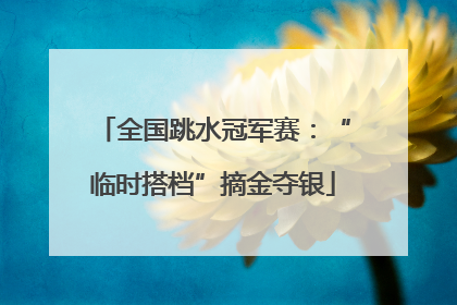 全国跳水冠军赛：“临时搭档”摘金夺银