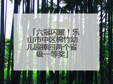六冠闪耀！乐山市中区棉竹幼儿园捧回两个省级一等奖