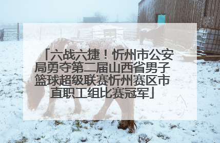 六战六捷！忻州市公安局勇夺第二届山西省男子篮球超级联赛忻州赛区市直职工组比赛冠军