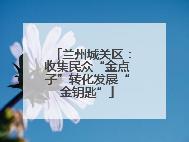 兰州城关区：收集民众“金点子”转化发展“金钥匙”