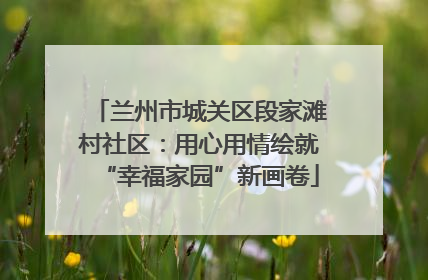 兰州市城关区段家滩村社区：用心用情绘就“幸福家园”新画卷