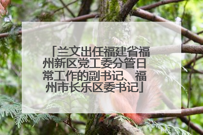 兰文出任福建省福州新区党工委分管日常工作的副书记、福州市长乐区委书记