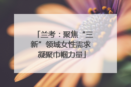 兰考：聚焦“三新”领域女性需求 凝聚巾帼力量
