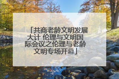 共商老龄文明发展大计 伦理与文明国际会议之伦理与老龄文明专场开幕