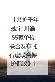 共护千年瑰宝 川渝55家单位联合发布《石窟联合保护倡议》