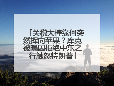 关税大棒缘何突然挥向苹果？库克被曝因拒绝中东之行触怒特朗普
