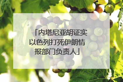 内塔尼亚胡证实以色列打死伊朗情报部门负责人