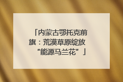 内蒙古鄂托克前旗：荒漠草原绽放“能源马兰花”