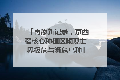 再添新记录，京西稻核心种植区频现世界极危与濒危鸟种