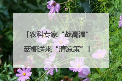 农科专家“战高温” 菇棚送来“清凉策”