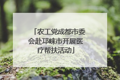 农工党成都市委会赴邛崃市开展医疗帮扶活动