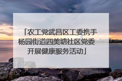 农工党武昌区工委携手杨园街道四美塘社区党委开展健康服务活动